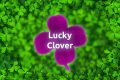 Free Lucky Clover Game