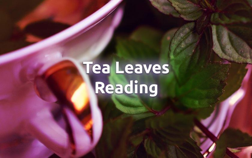 Free Tea Leaves Reading Oracle